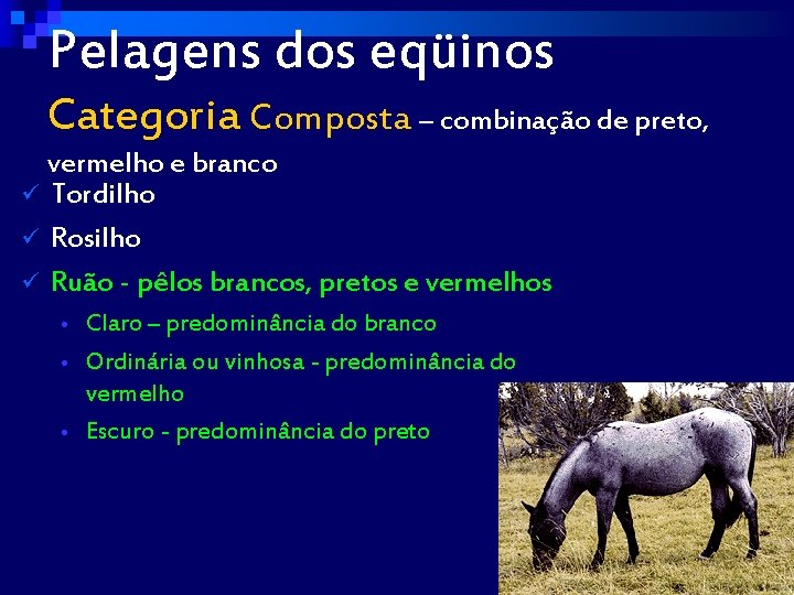 Pelagens dos eqüinos Categoria Composta – combinação de preto, vermelho e branco ü Tordilho