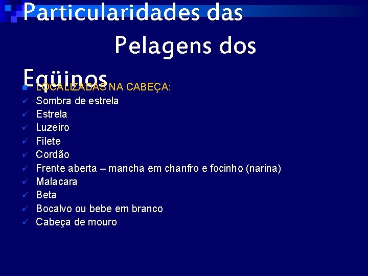 Particularidades das Pelagens dos Eqüinos n ü ü ü ü ü LOCALIZADAS NA CABEÇA: