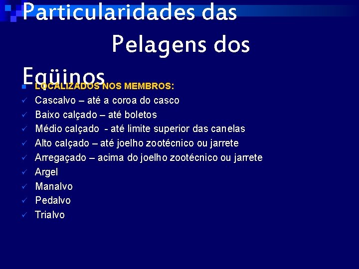 Particularidades das Pelagens dos Eqüinos n LOCALIZADOS NOS MEMBROS: ü Cascalvo – até a