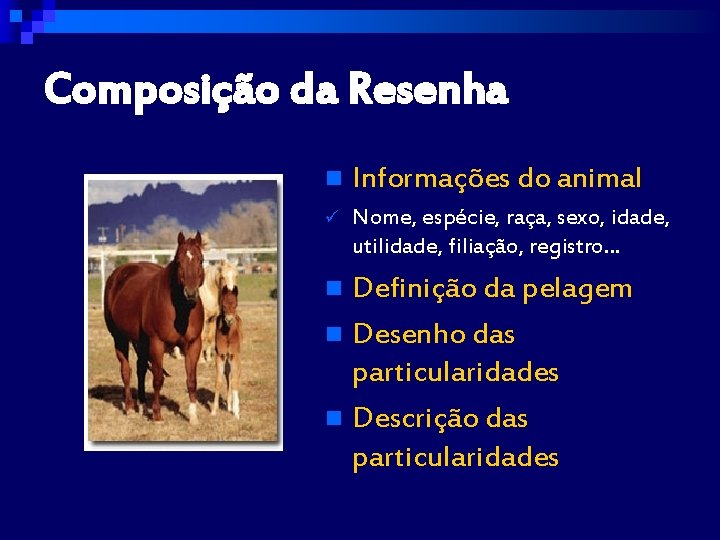 Composição da Resenha n Informações do animal ü Nome, espécie, raça, sexo, idade, utilidade,