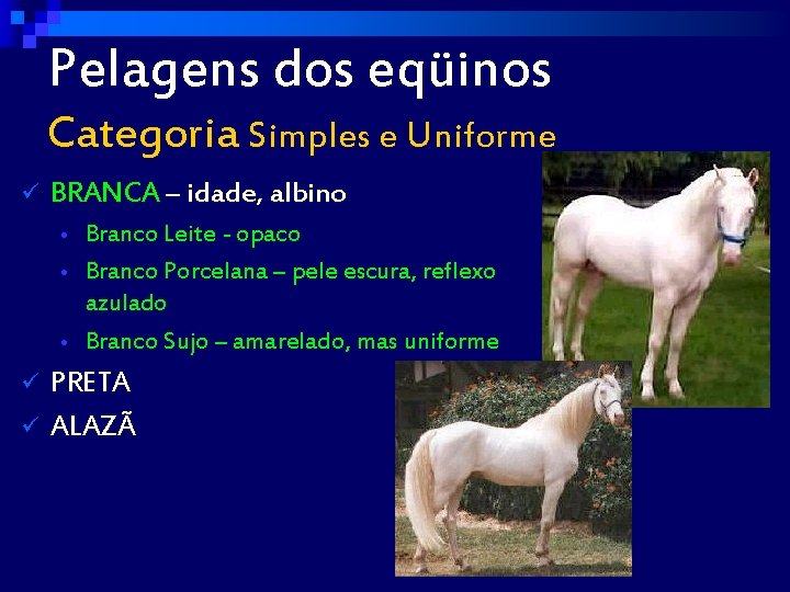 Pelagens dos eqüinos Categoria Simples e Uniforme ü BRANCA – idade, albino Branco Leite