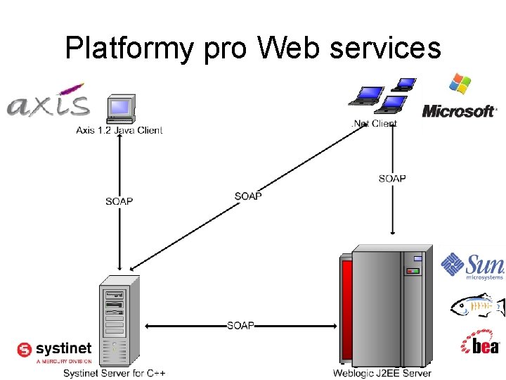 Platformy pro Web services 