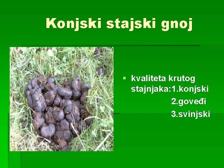 Konjski stajski gnoj § kvaliteta krutog stajnjaka: 1. konjski 2. goveđi 3. svinjski 