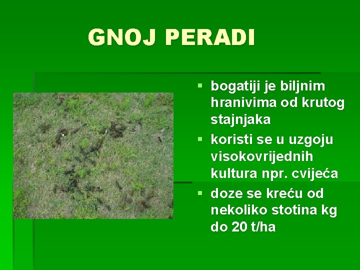 GNOJ PERADI § bogatiji je biljnim hranivima od krutog stajnjaka § koristi se u