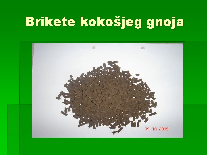 Brikete kokošjeg gnoja 