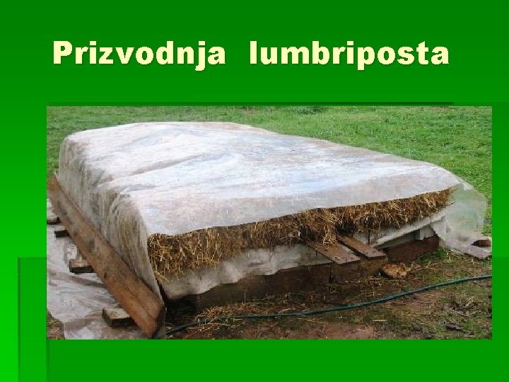 Prizvodnja lumbriposta 