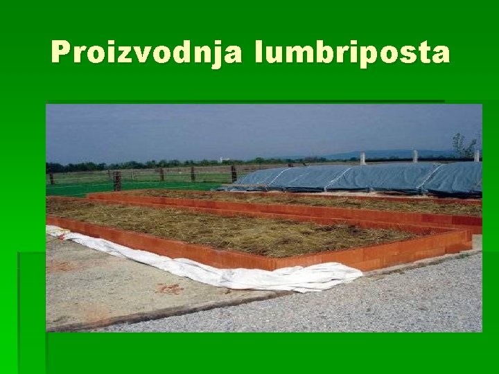 Proizvodnja lumbriposta 