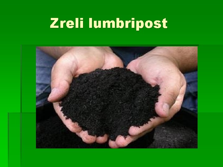 Zreli lumbripost 