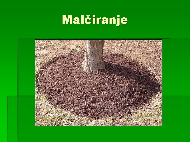 Malčiranje 