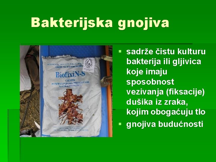 Bakterijska gnojiva § sadrže čistu kulturu bakterija ili gljivica koje imaju sposobnost vezivanja (fiksacije)