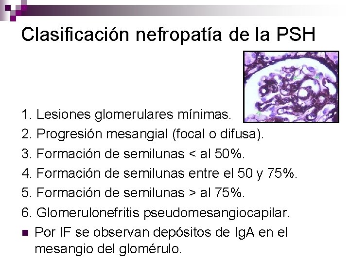 Clasificación nefropatía de la PSH 1. Lesiones glomerulares mínimas. 2. Progresión mesangial (focal o