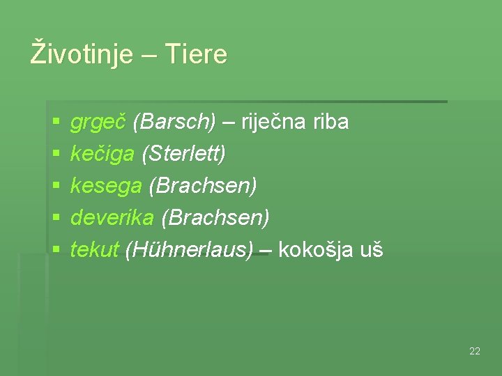 Životinje – Tiere § § § grgeč (Barsch) – riječna riba kečiga (Sterlett) kesega