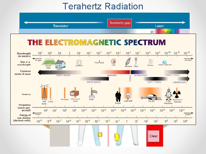Terahertz Radiation 