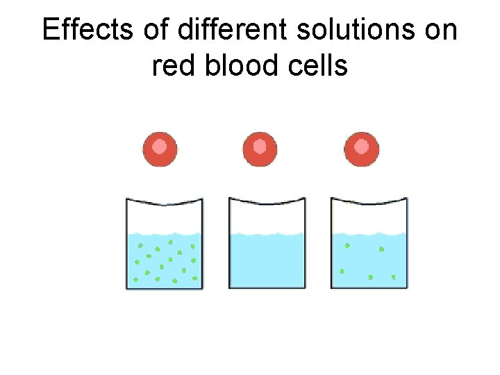 Effects of different solutions on red blood cells 