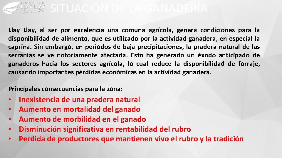 SITUACIÓN DE LA GANADERÍA Llay, al ser por excelencia una comuna agrícola, genera condiciones