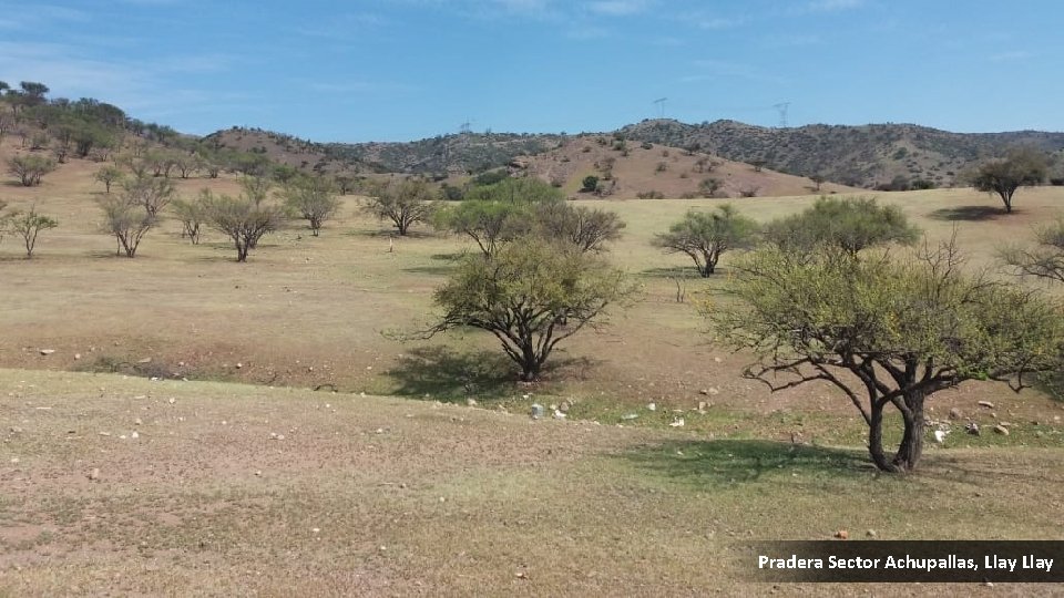 Pradera Sector Achupallas, Llay 