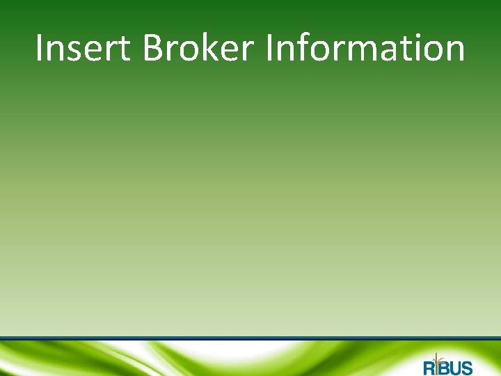 Insert Broker Information 