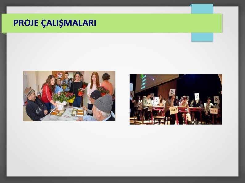 PROJE ÇALIŞMALARI 