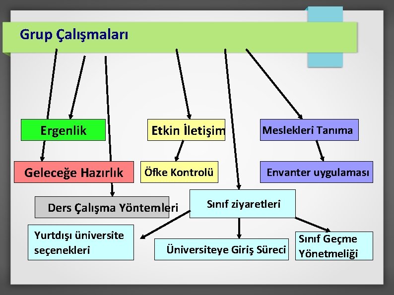 Grup Çalışmaları Ergenlik Geleceğe Hazırlık Etkin İletişim Öfke Kontrolü Meslekleri Tanıma Envanter uygulaması Ders