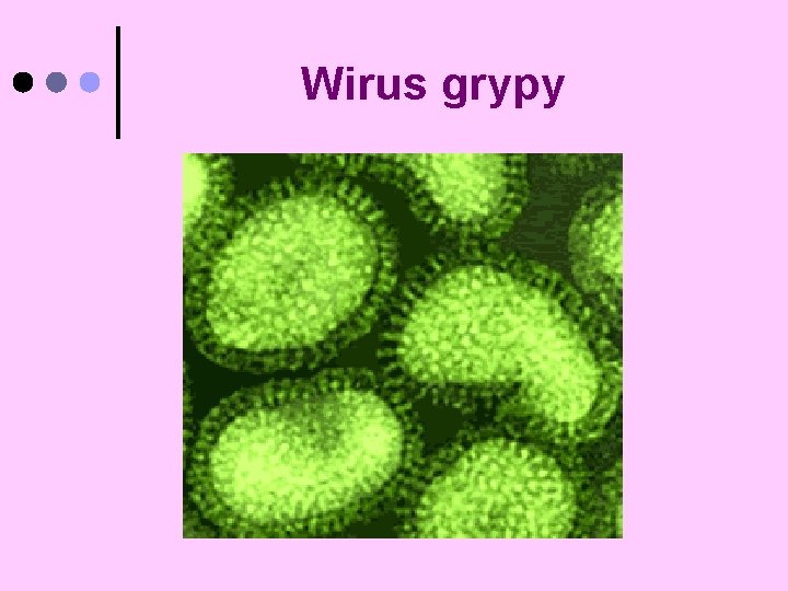 Wirus grypy 