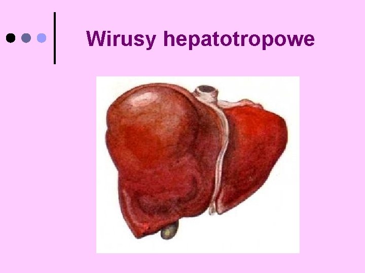 Wirusy hepatotropowe 