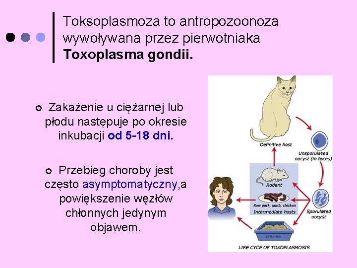 Toksoplasmoza to antropozoonoza wywoływana przez pierwotniaka Toxoplasma gondii. ¢ Zakażenie u ciężarnej lub płodu