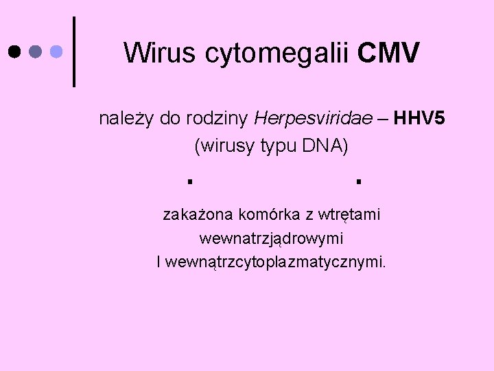 Wirus cytomegalii CMV należy do rodziny Herpesviridae – HHV 5 (wirusy typu DNA) zakażona