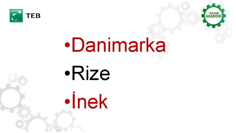  • Danimarka • Rize • İnek 