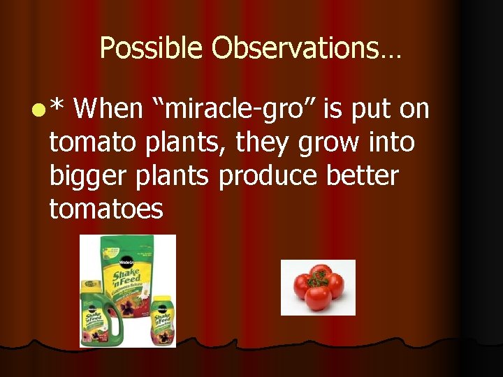 Possible Observations… l* When “miracle-gro” is put on tomato plants, they grow into bigger