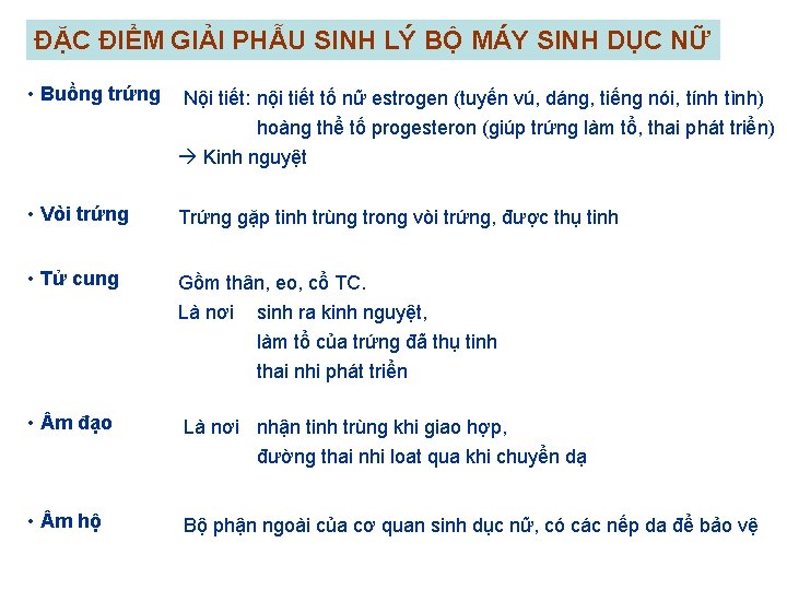 ĐẶC ĐIỂM GIẢI PHẪU SINH LÝ BỘ MÁY SINH DỤC NỮ • Buồng trứng