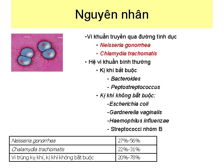 Nguyên nhân • Vi khuẩn truyền qua đường tình dục • Neisseria gonorrhea •