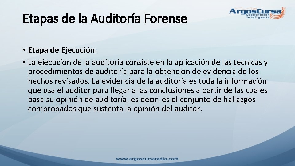 Etapas de la Auditoría Forense • Etapa de Ejecución. • La ejecución de la