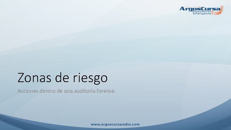 Zonas de riesgo Acciones dentro de una auditoría forense. 