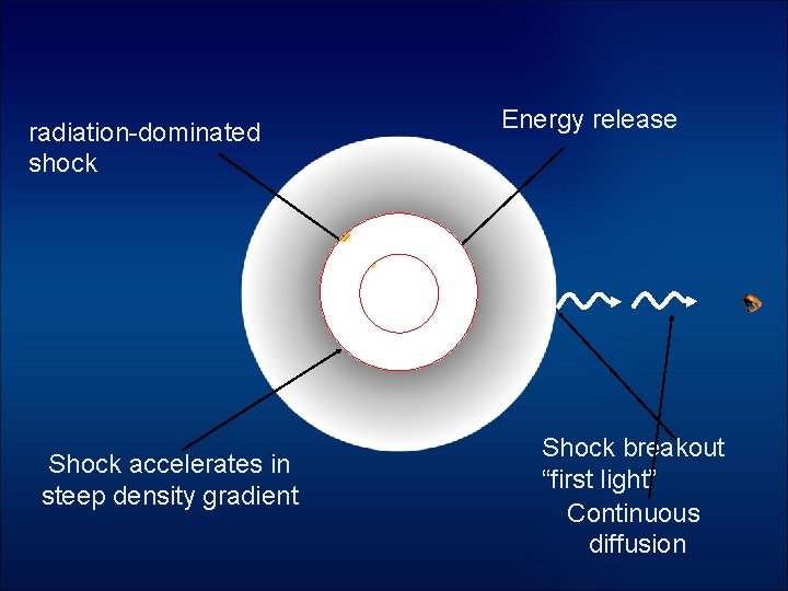 radiation-dominated shock Shock accelerates in steep density gradient Energy release Shock breakout “first light”