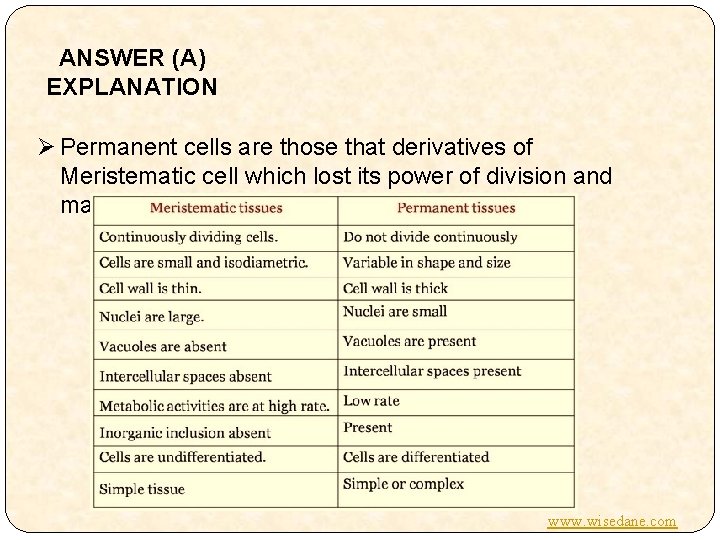 ANSWER (A) EXPLANATION Ø Permanent cells are those that derivatives of Meristematic cell which