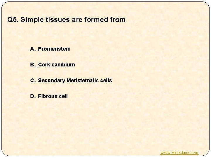 Q 5. Simple tissues are formed from A. Promeristem B. Cork cambium C. Secondary