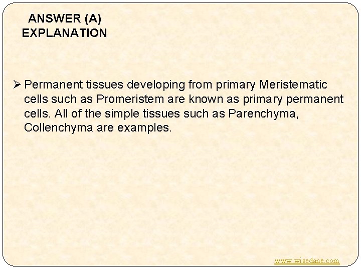 ANSWER (A) EXPLANATION Ø Permanent tissues developing from primary Meristematic cells such as Promeristem
