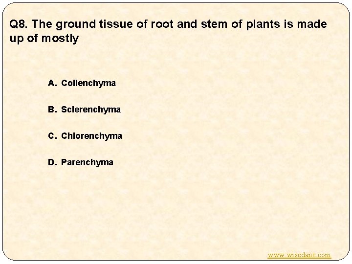 Q 8. The ground tissue of root and stem of plants is made up