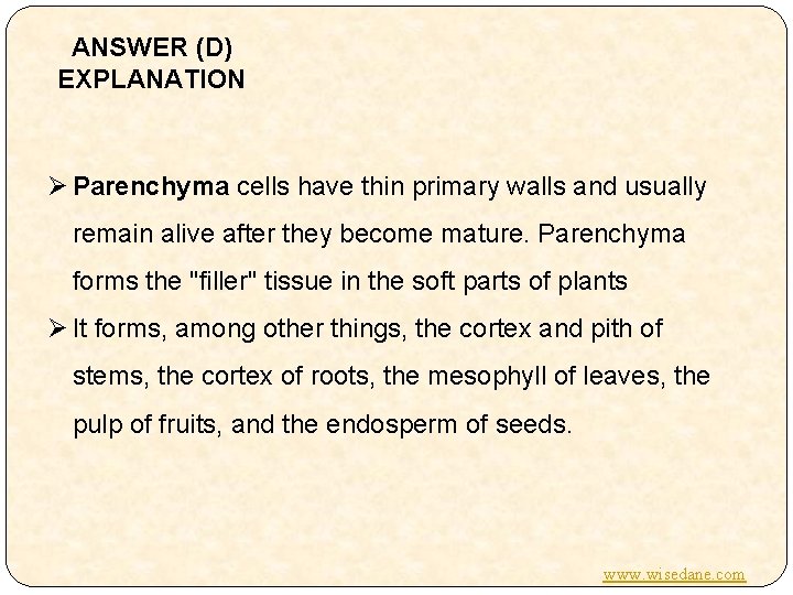 ANSWER (D) EXPLANATION Ø Parenchyma cells have thin primary walls and usually remain alive