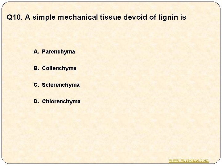 Q 10. A simple mechanical tissue devoid of lignin is A. Parenchyma B. Collenchyma