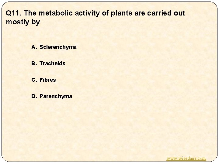 Q 11. The metabolic activity of plants are carried out mostly by A. Sclerenchyma