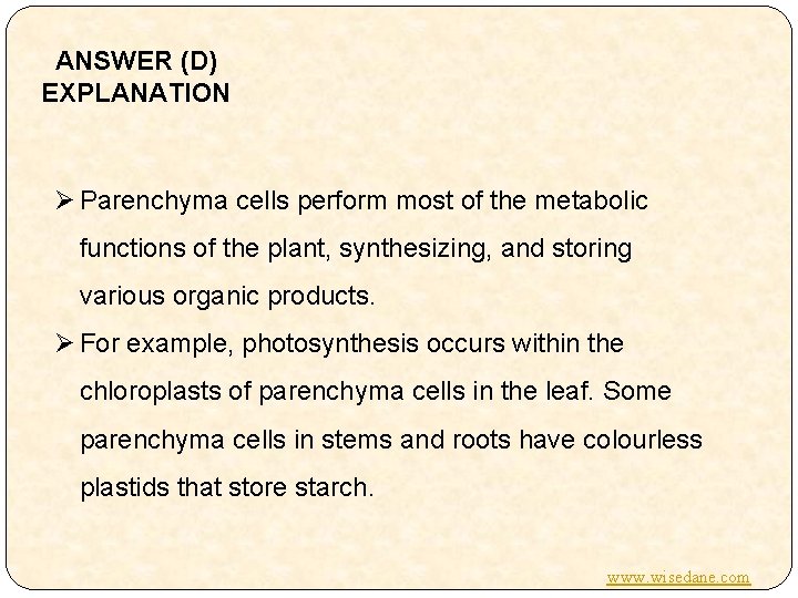 ANSWER (D) EXPLANATION Ø Parenchyma cells perform most of the metabolic functions of the