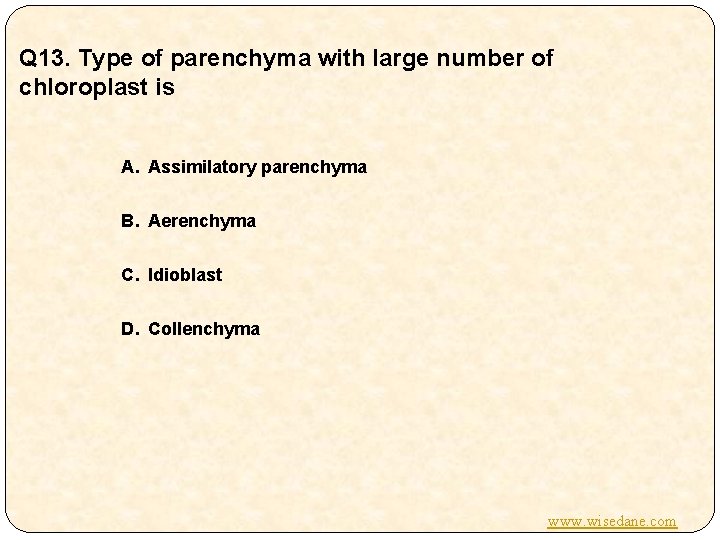 Q 13. Type of parenchyma with large number of chloroplast is A. Assimilatory parenchyma