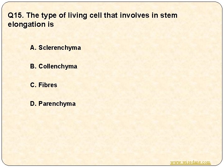 Q 15. The type of living cell that involves in stem elongation is A.