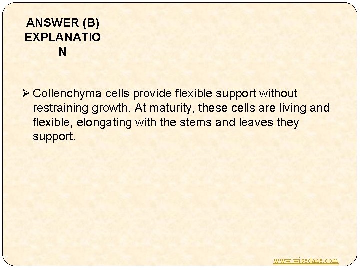 ANSWER (B) EXPLANATIO N Ø Collenchyma cells provide flexible support without restraining growth. At