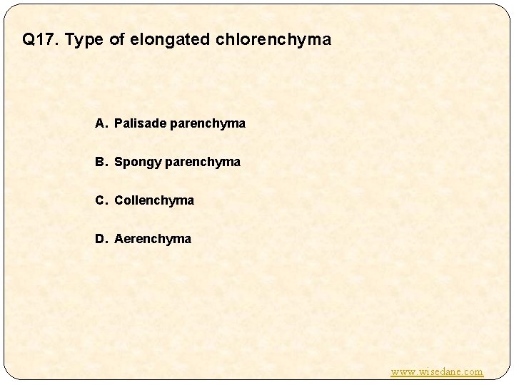 Q 17. Type of elongated chlorenchyma A. Palisade parenchyma B. Spongy parenchyma C. Collenchyma