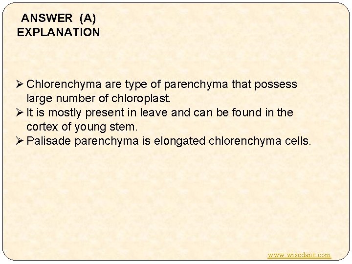 ANSWER (A) EXPLANATION Ø Chlorenchyma are type of parenchyma that possess large number of