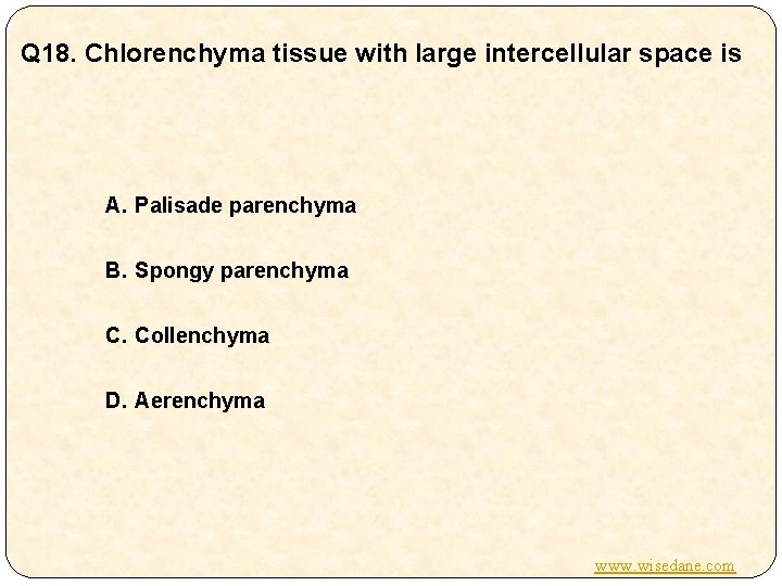 Q 18. Chlorenchyma tissue with large intercellular space is A. Palisade parenchyma B. Spongy