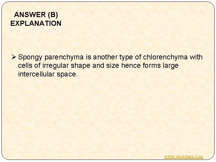 ANSWER (B) EXPLANATION Ø Spongy parenchyma is another type of chlorenchyma with cells of