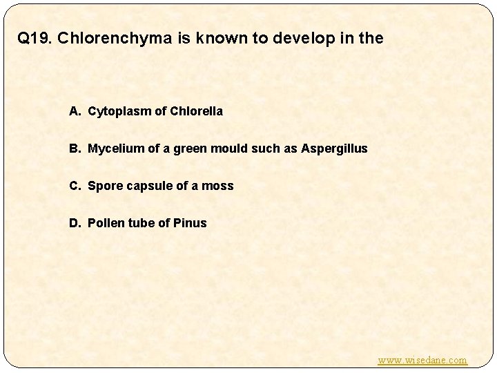 Q 19. Chlorenchyma is known to develop in the A. Cytoplasm of Chlorella B.